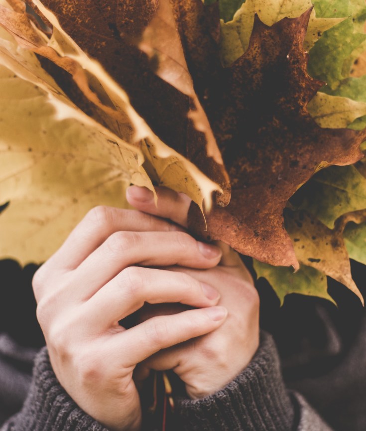 November Favourites – The Vinterior Team Selection