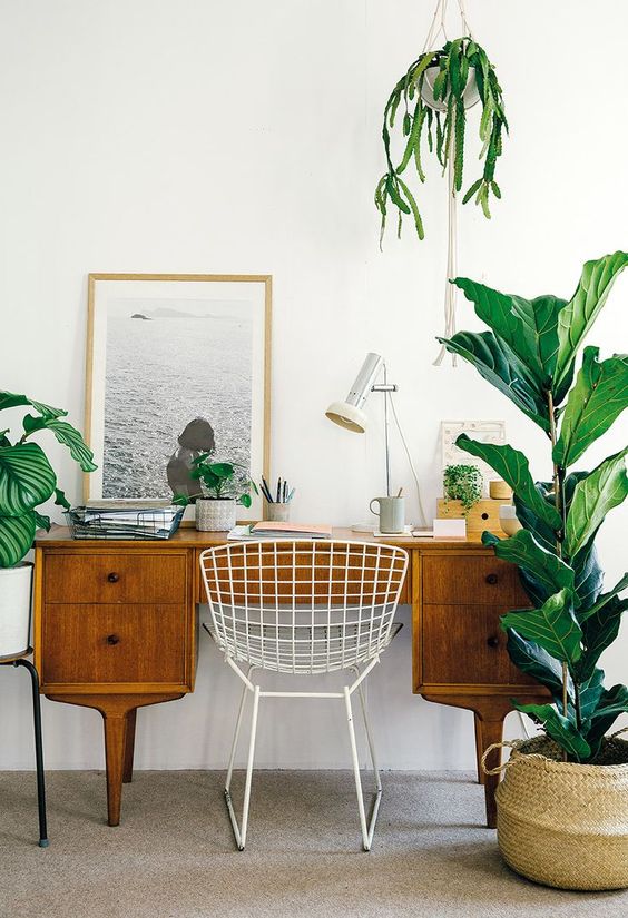Working from home: this is what you need to create an effective working space