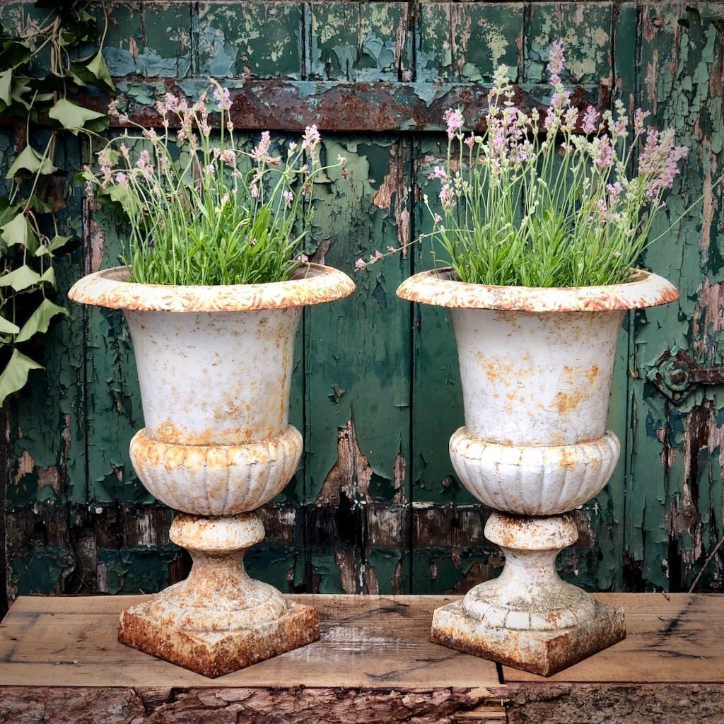 Creative Planter Ideas